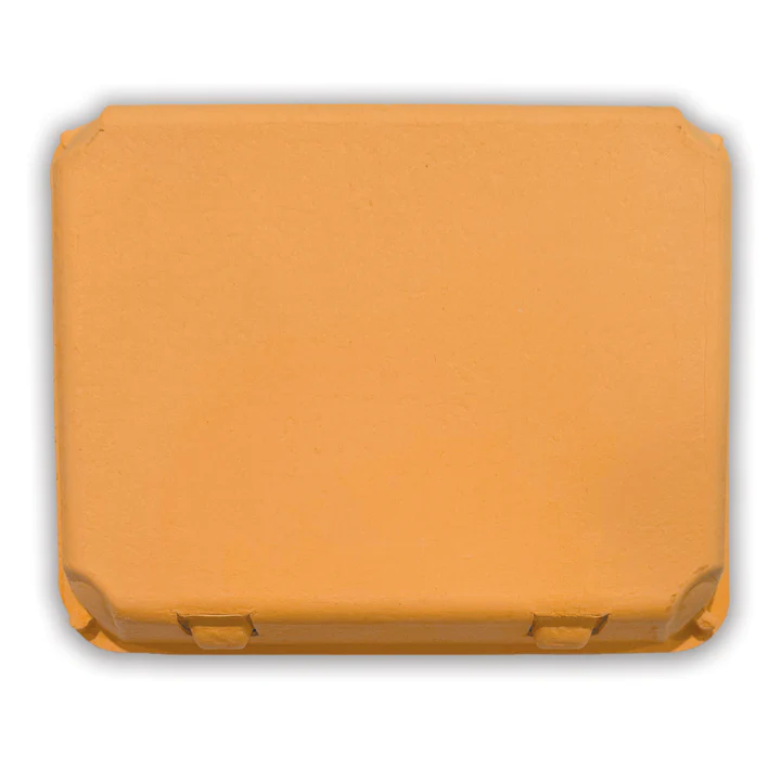 Paper Egg Cartons | Un-Printed